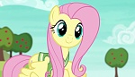 Image Mon Petit Poney :  Buckball Season 
