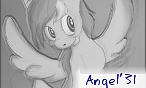 Angel'31