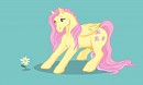 Fluttershy