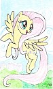Flutter along