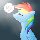 Dashie