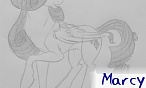 Marcy