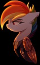 war dash