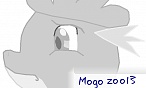 mogo zoo13