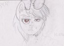 Pony/Human.