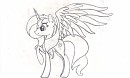 Alicorn Sunset Shimmer (croquis)