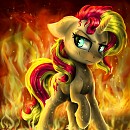 I've burned them all...