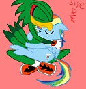 Crossover: Jet the Hawk X Rainbow Dash
