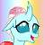 Ocellus
