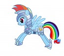 Commandant Rainbow Dash