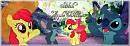 Signature Apple Bloom et Stitch
