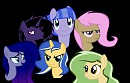 The Gang