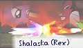 Shalaska (Rex)