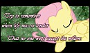 Broadway Sig: Fluttershy