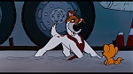 Image Oliver & Company