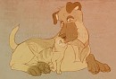 Comfort
