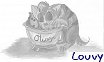 Louvy