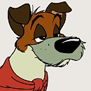  DEAL WITH IT  gif animation