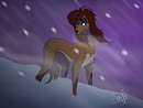 A Winter's Evening