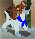 Dodger Look's Better In Blue