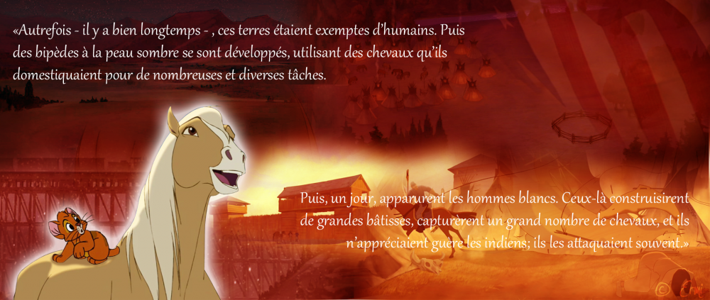 Vous