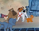 Les retrouvailles - Oliver et Azul