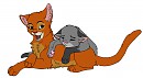 D'Awwwwwwww