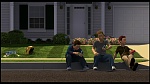 Over the Hedge picture