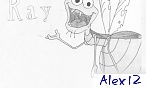 Alex 12