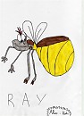Ray