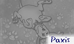 Paxis