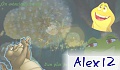 Alex 12