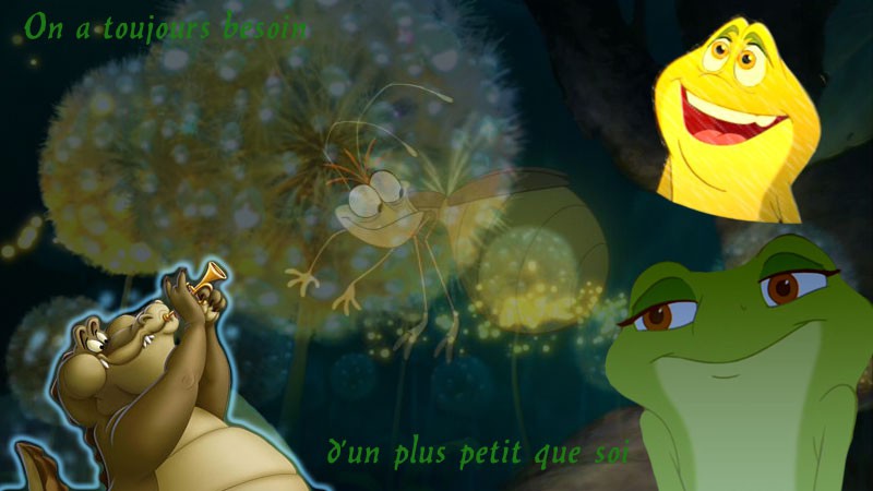 Qui