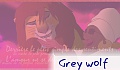 Grey wolf