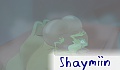 Shaymiin