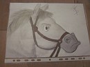 Maximus