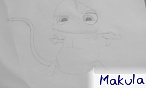 makula
