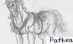 Pathea