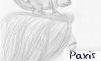 Paxis