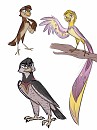 Freebird redesigns #2