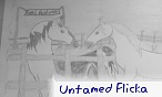 Untamed Flicka