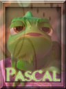 Avatar Pascal.