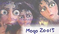 Mogo Zoo13