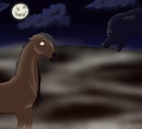 Rencontre au clair de lune