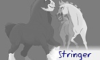 stringer