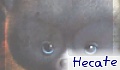 Hecate