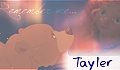 Tayler