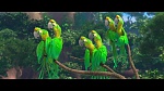 Image Rio