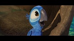 Image Rio