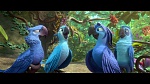 Rio 2 picture Rio 2 picture